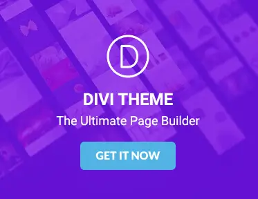 Divi theme